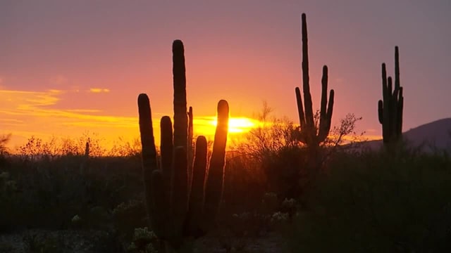 Arizona Fall League Fall Stars Game on November 9