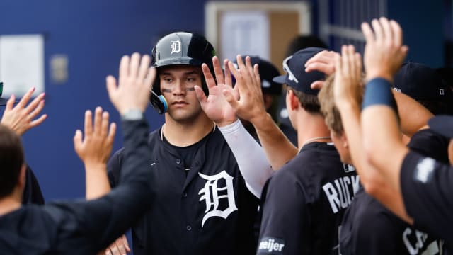 Top Prospects: Josue Briceno, C, Tigers