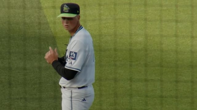 D-backs No. 8 prospect David Hagaman fans eight