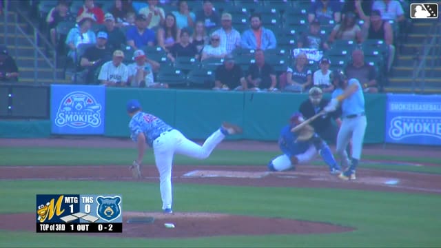 Rays prospect Carson Williams lifts his second homer