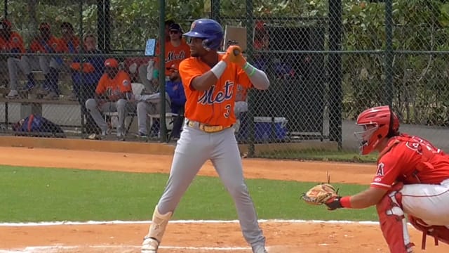 Mets No. 10 prospect Elian Peña's three-homer game