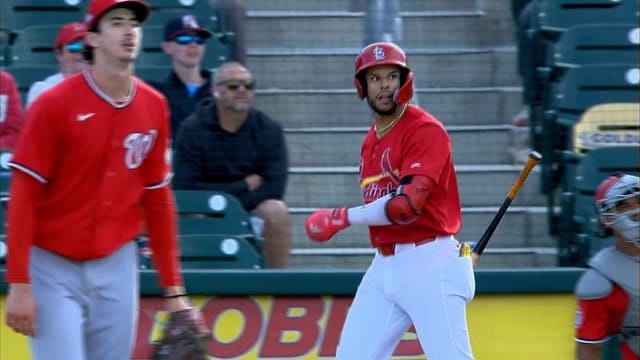 Joshua Báez's two-run homer