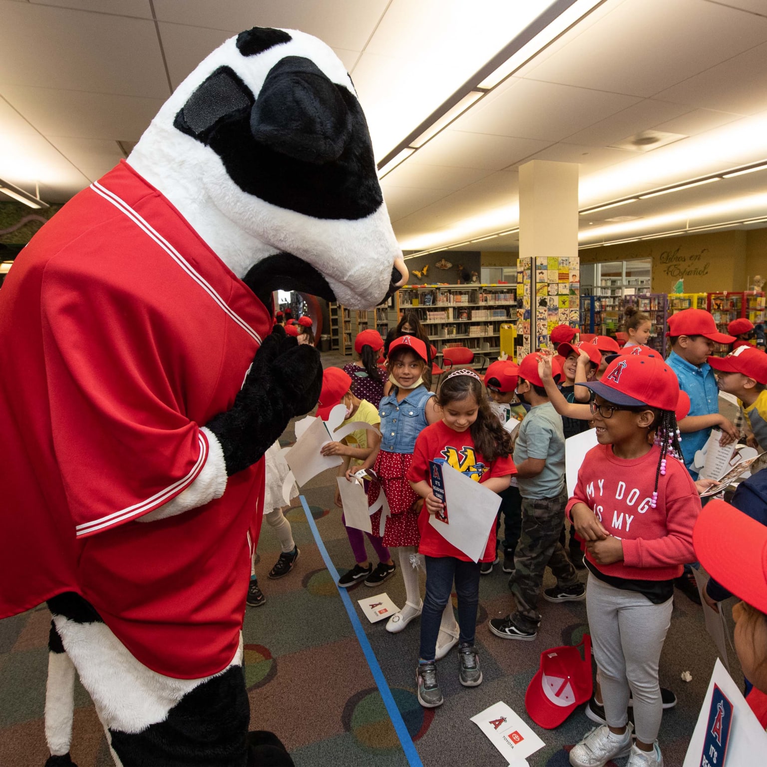 Los Angeles Angels - Last weekend, the Angels RBI Youth Baseball Clinic,  presented by Chick-fil-A SoCal, welcomed 200 young ballplayers onto the  field at Angel Stadium to learn new skills and drills!