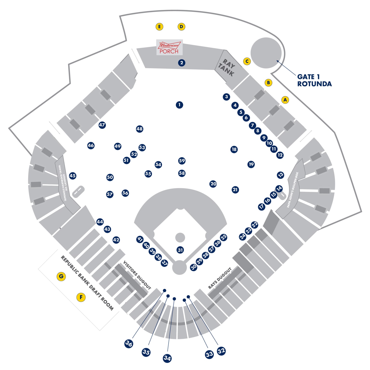 Rays Fan Fest Information Tampa Bay Rays