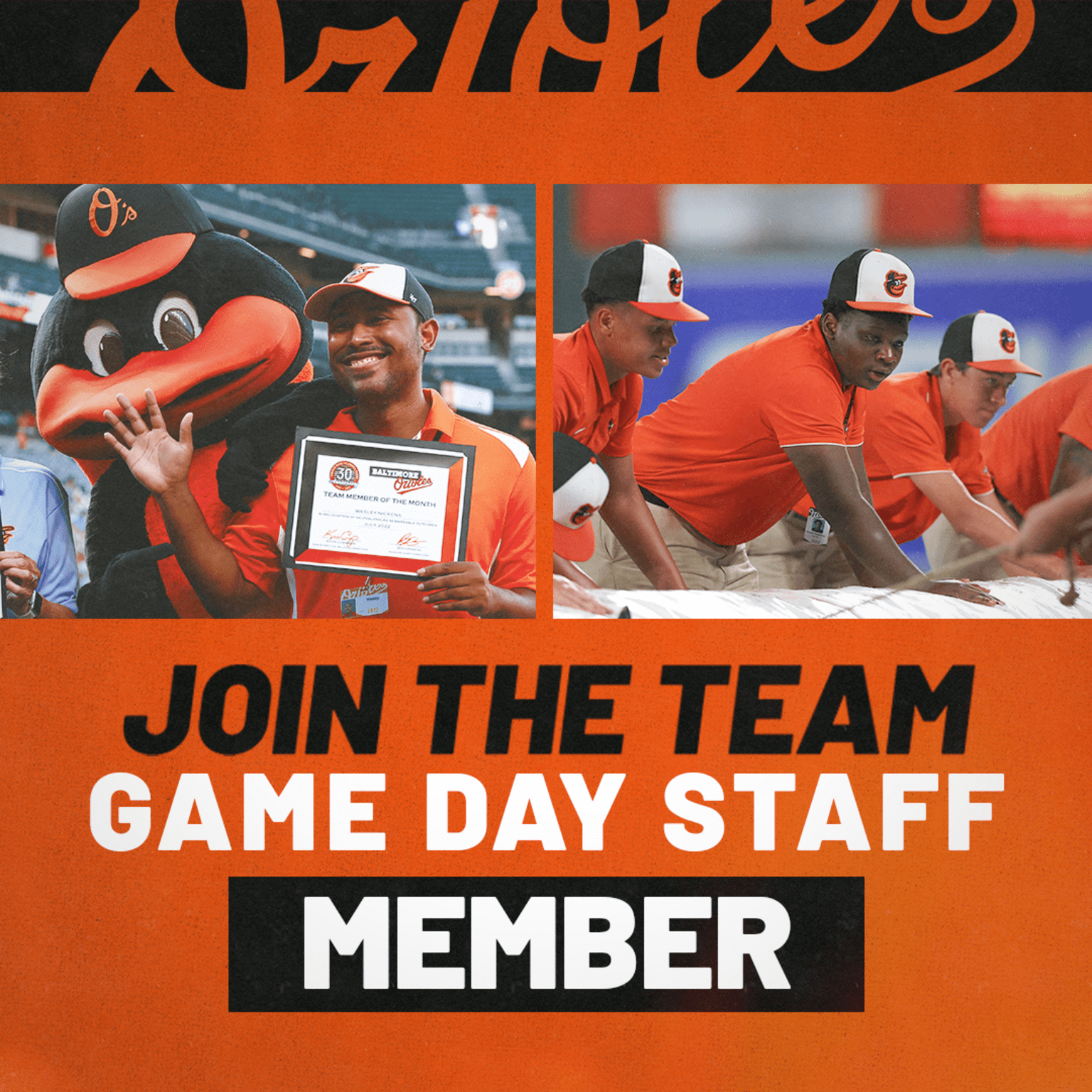 Job Opportunities Baltimore Orioles