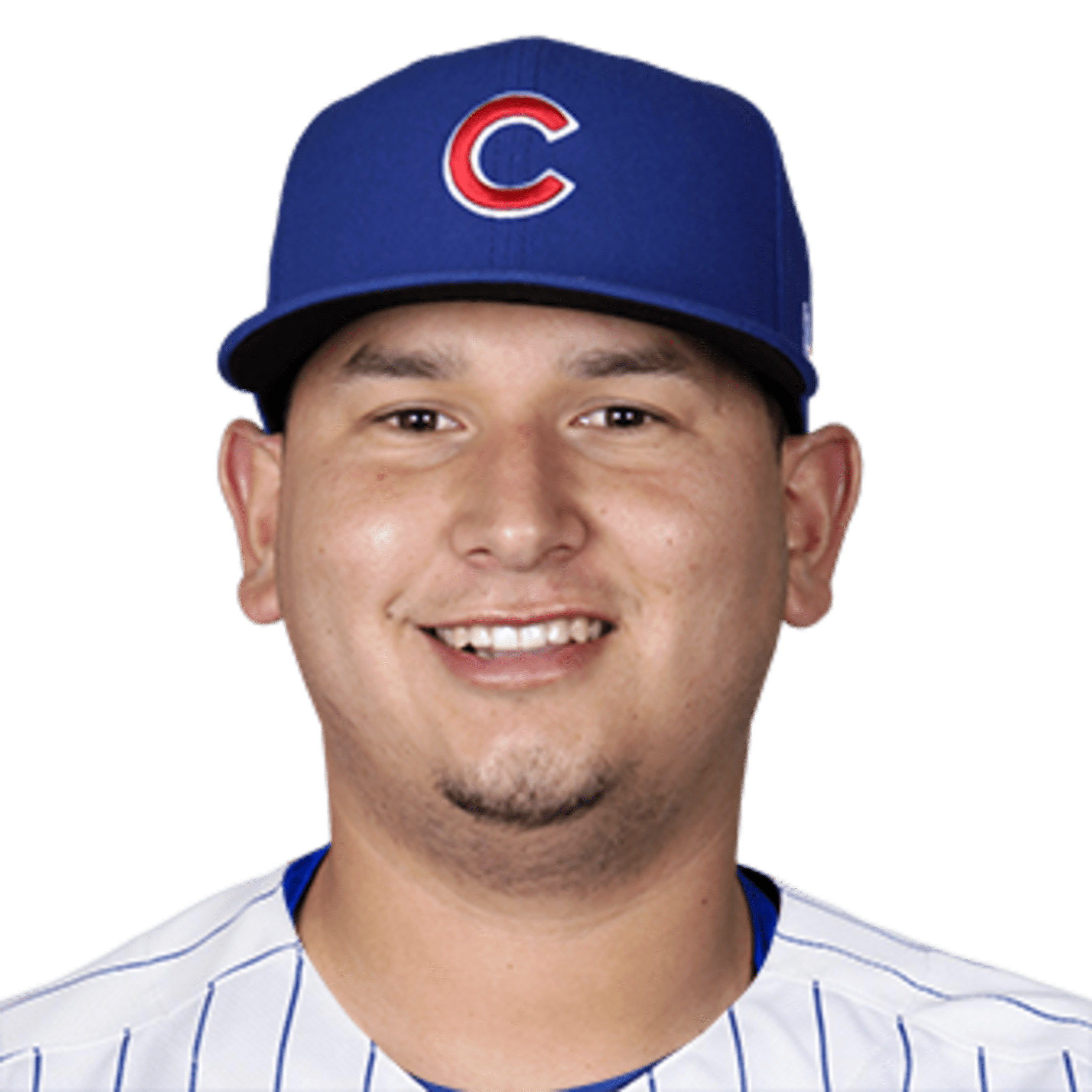 Cubs 4, Diamondbacks 2: The Yan Gomes game - Bleed Cubbie Blue