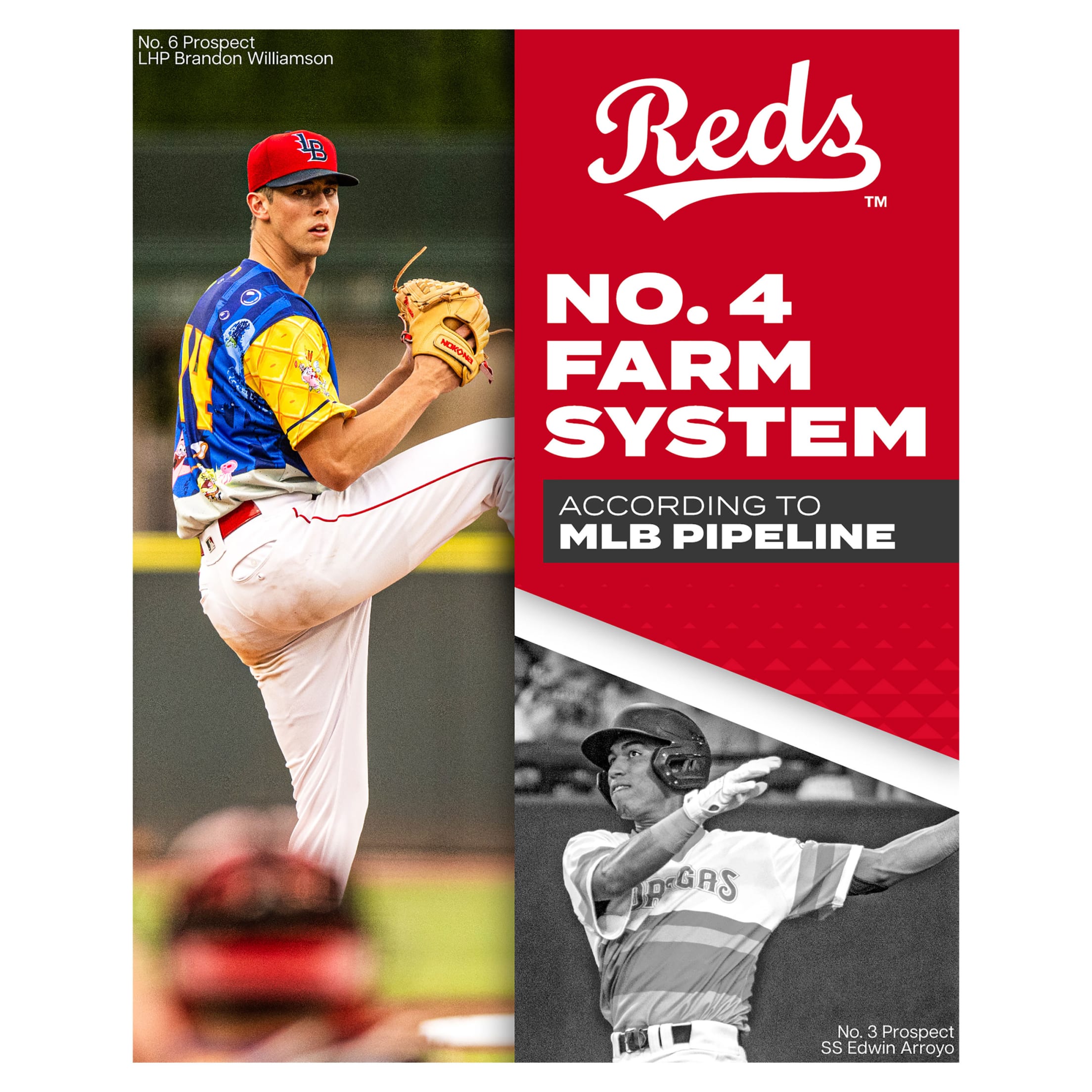 Reds Pipeline Cincinnati Reds