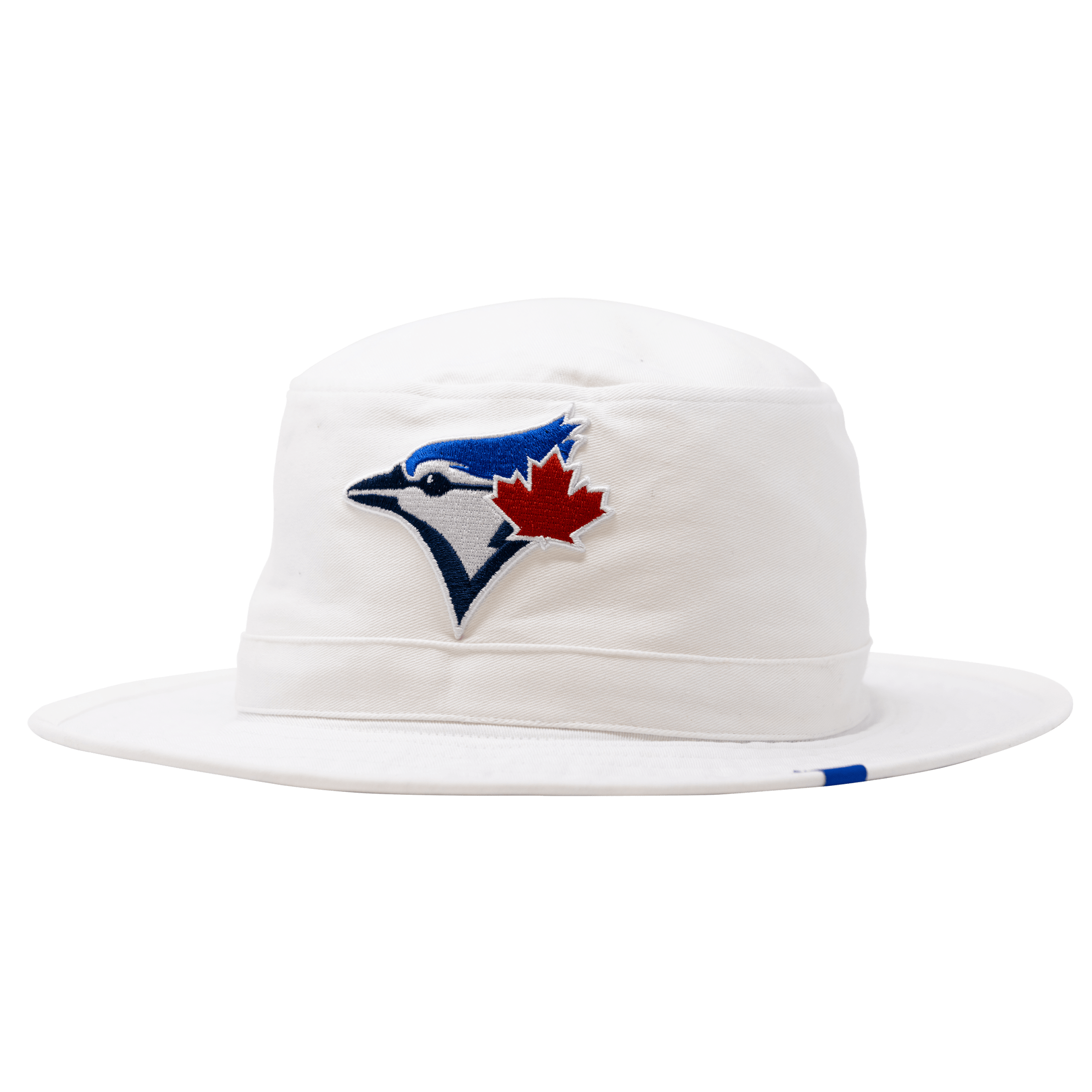 Cricket Night  Toronto Blue Jays