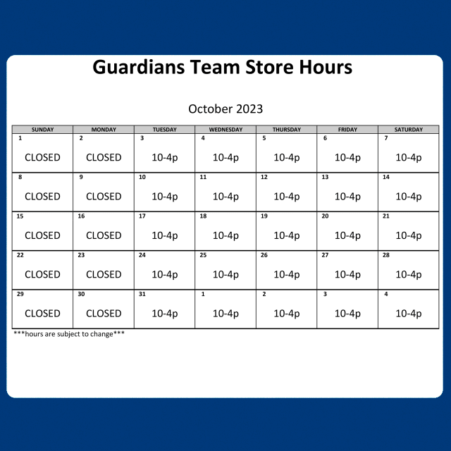 Guardians Team Store