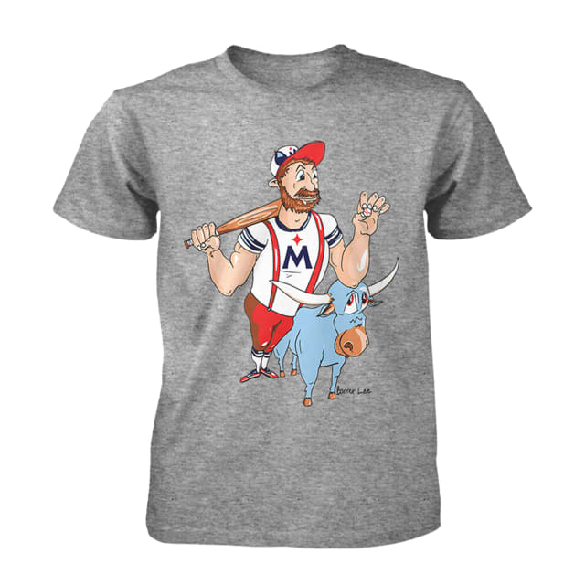 Twins T-Shirts: MN Twins Baseball - The Crazy Craft Lady