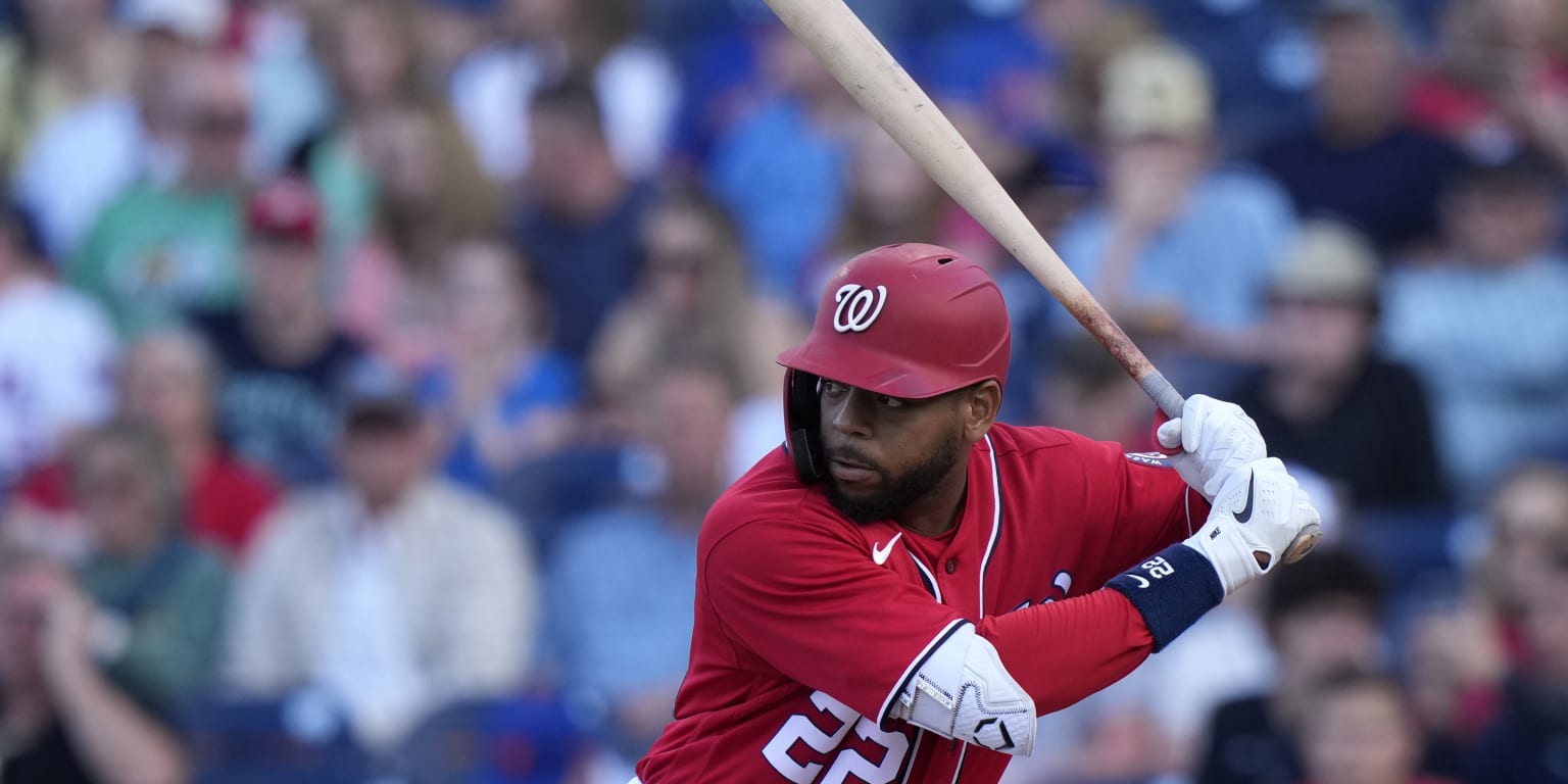 Dominic Smith Secures a Position With the Nationals