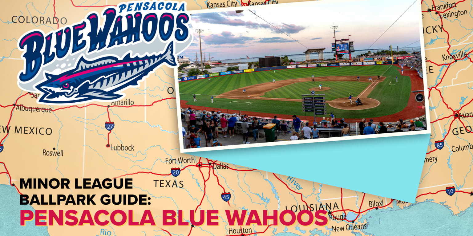 Explore Blue Wahoos Stadium Home of the Pensacola Blue Wahoos Houston