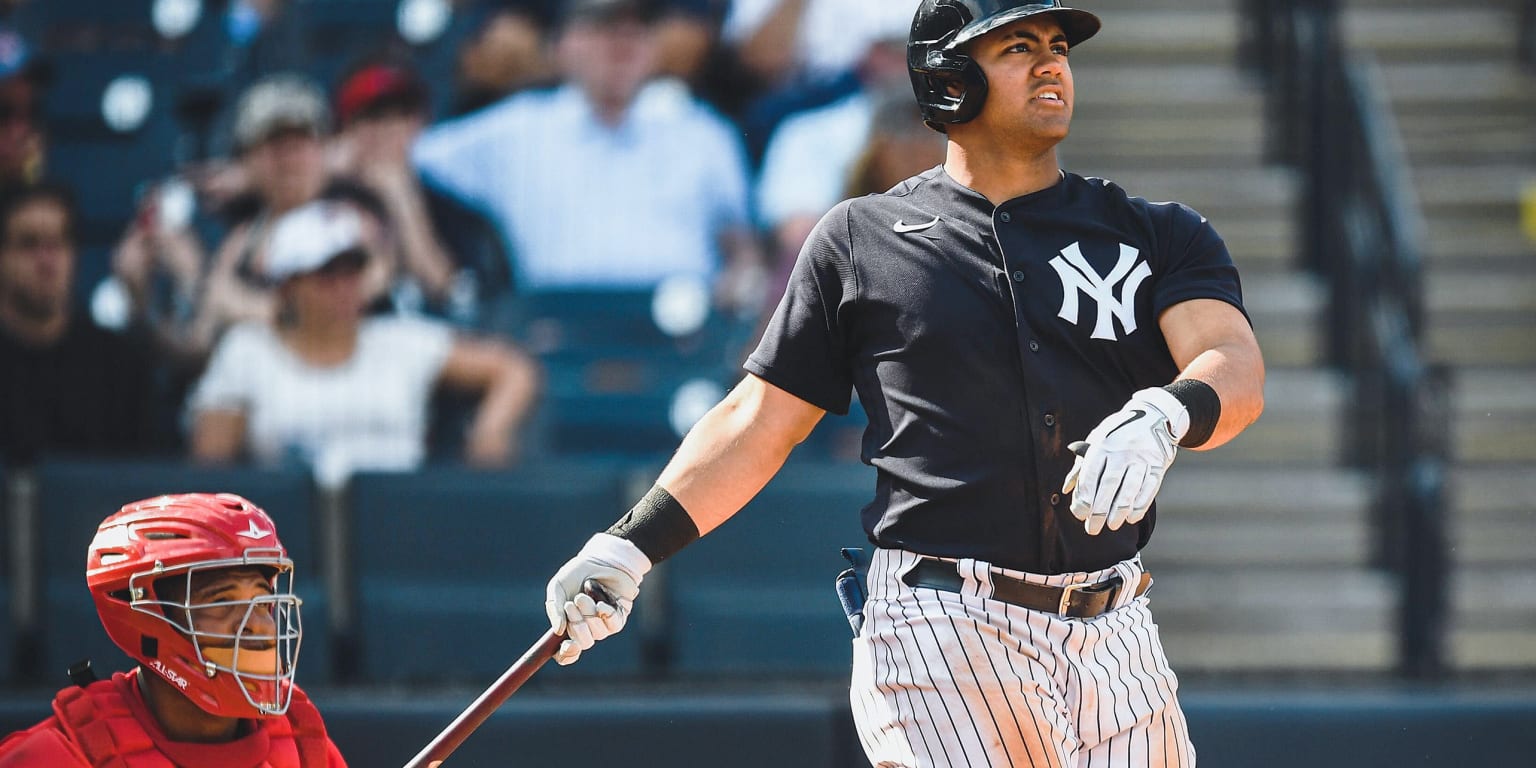 Domínguez reassigned, leaves strong impression on Yanks