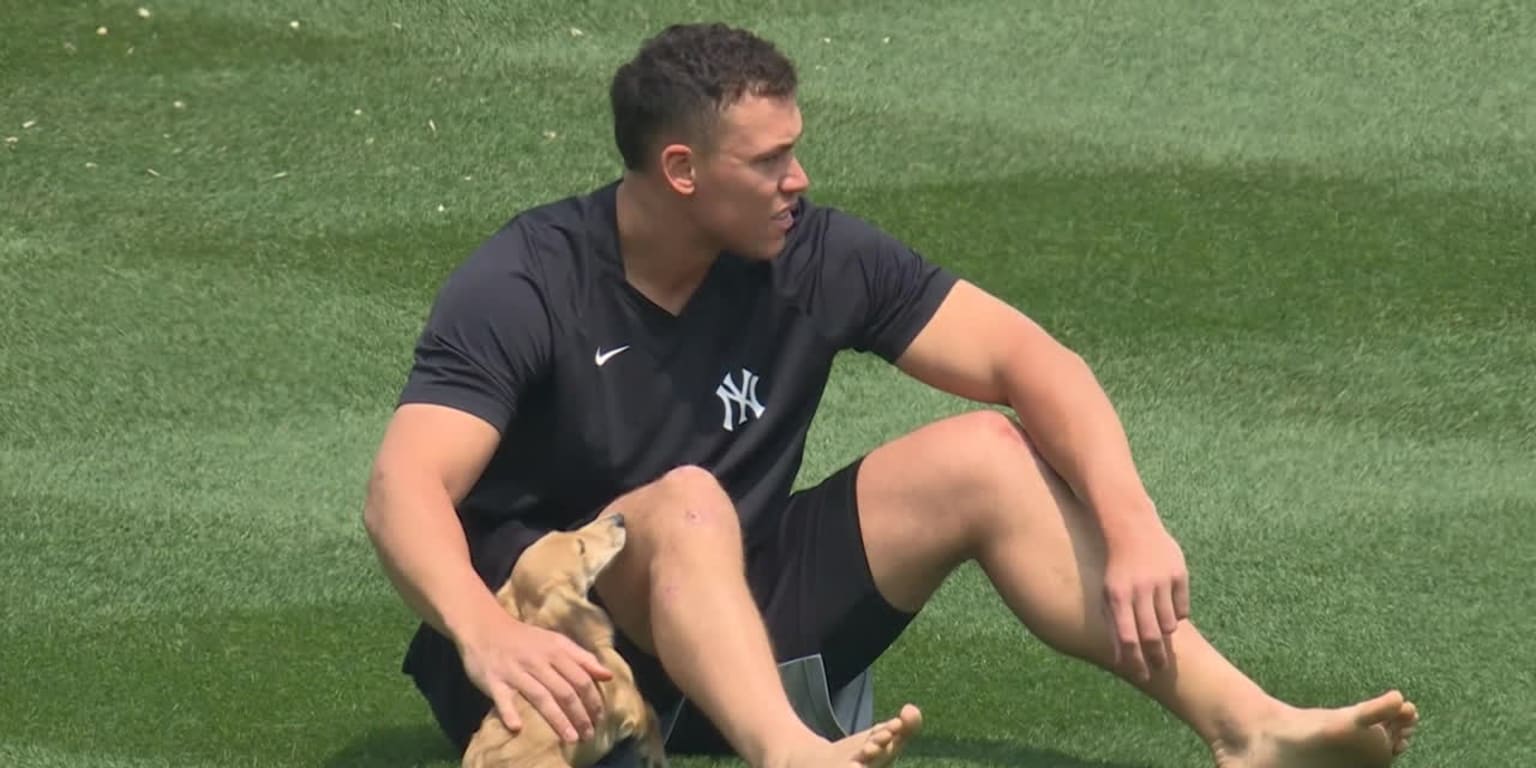 Aaron Judge and his dog Gus playing at Yankee StadiumAAAAWW : r