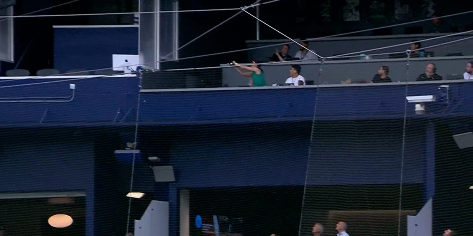 Marlins Reporter's Cap Catch Attempt at Tropicana Field Goes Wrong