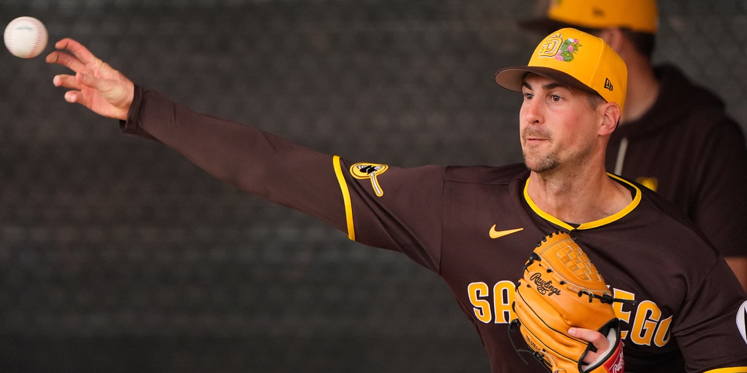 Padres reliever Hoeing out for '26 season after elbow surgery