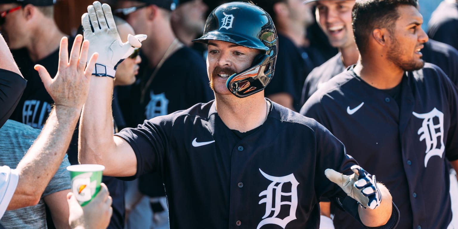 Detroit Tigers: Jake Rogers and Eric Hasse need to stay