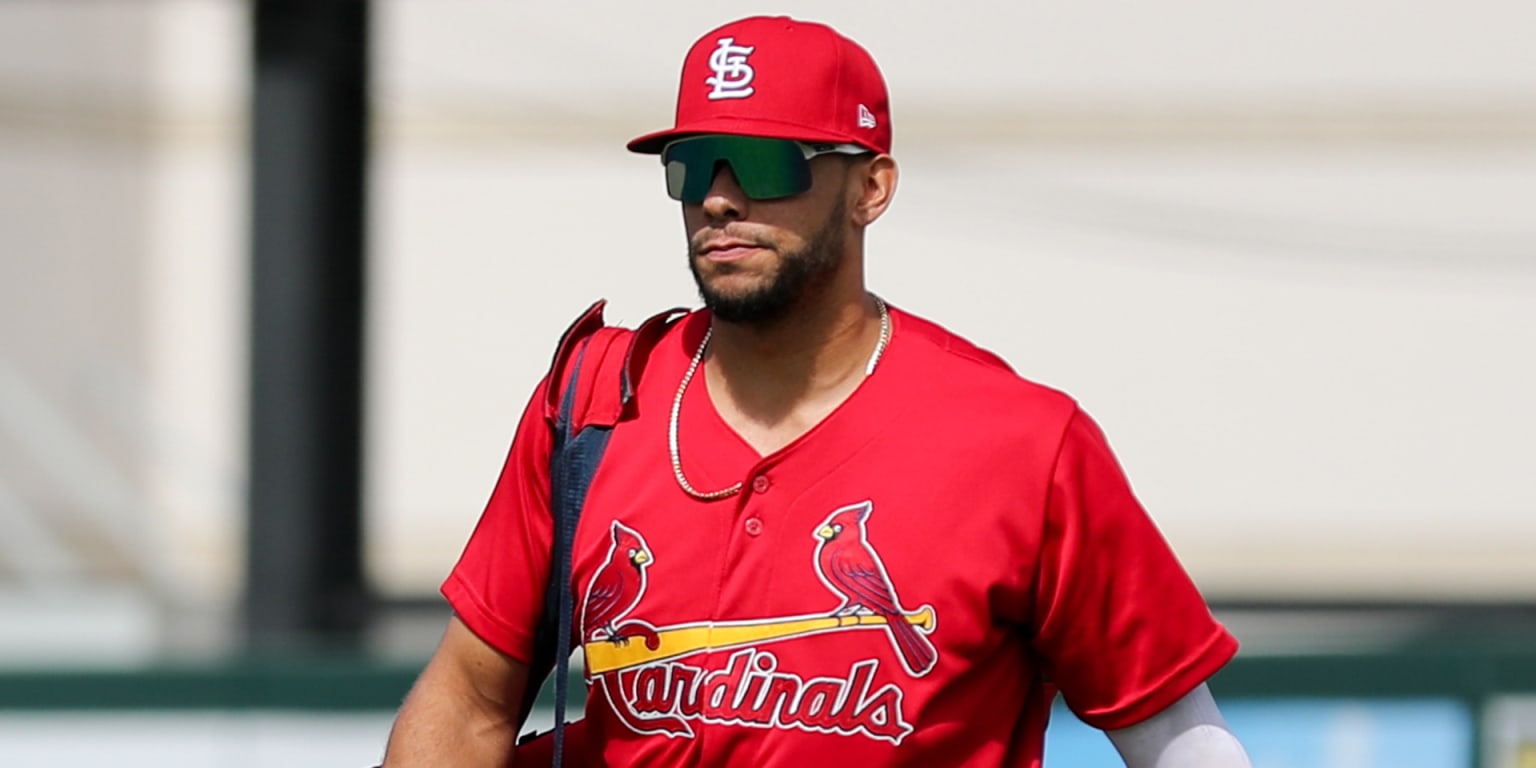 Cardinals calling up No. 3 prospect Báez, slugger to debut at Wrigley