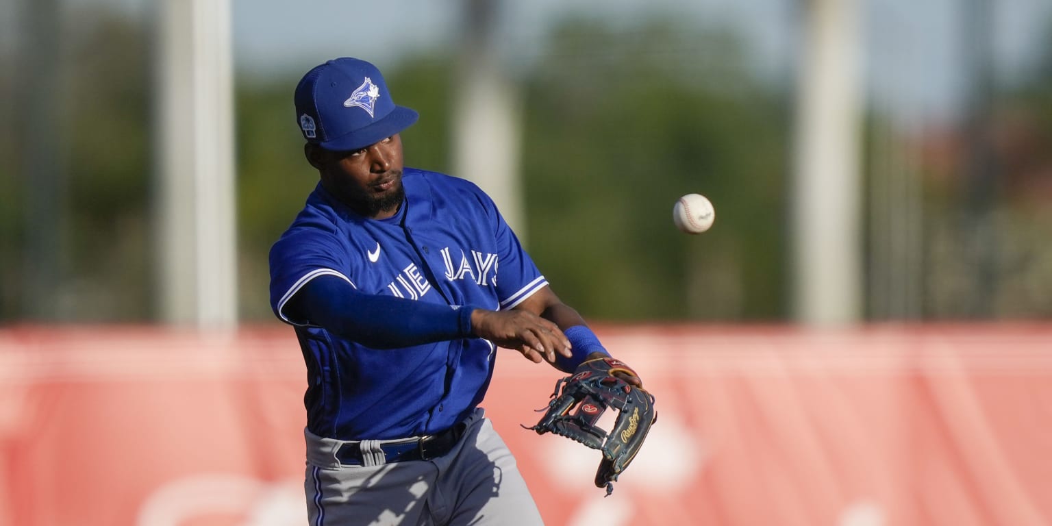 Five Blue Jays prospects on the rise