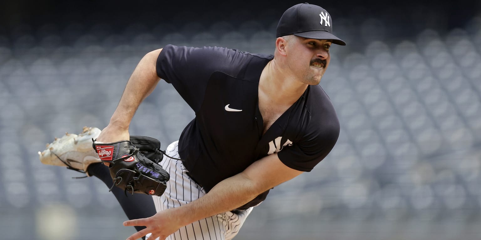 Carlos Rodon will make his debut for the Yankees on Friday.  Puppies