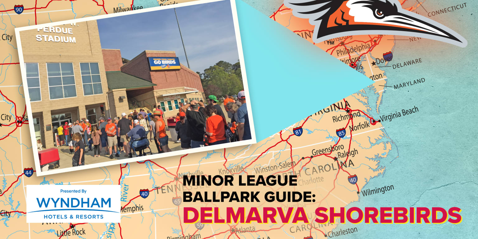 Delmarva Shorebirds on X: The Delmarva Shorebirds in conjunction