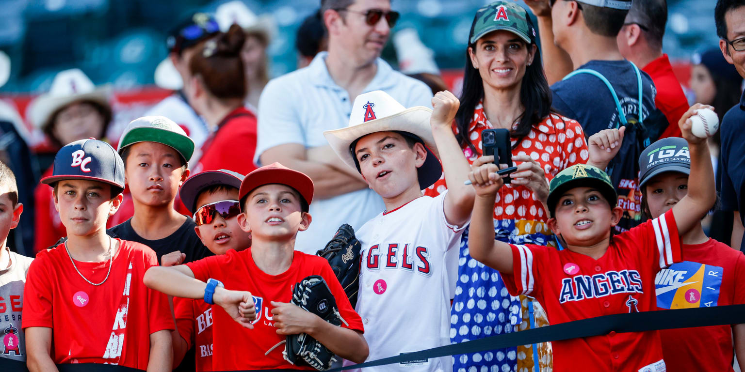 Number of young MLB fans rising