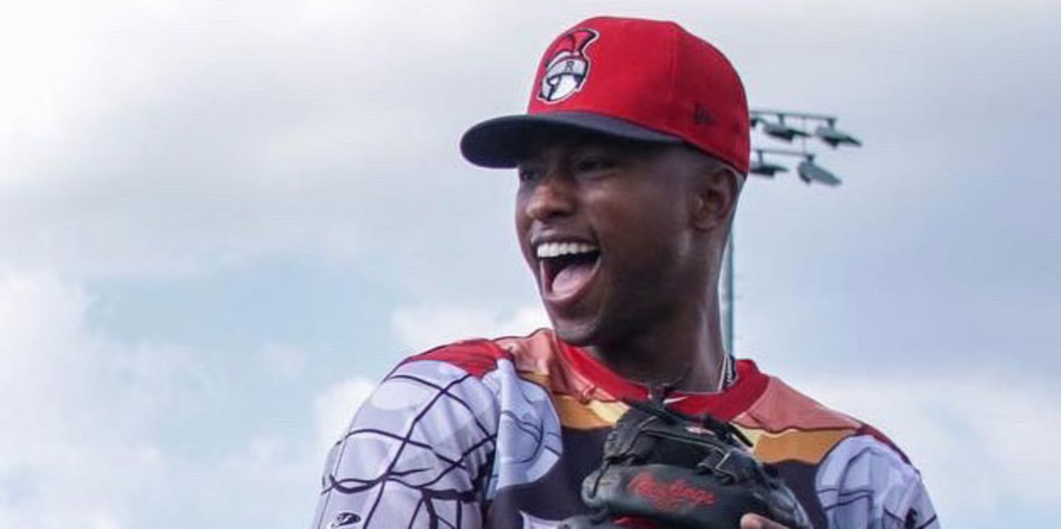 J-Hen joins Tigers’ flock, eager to impact with bat 