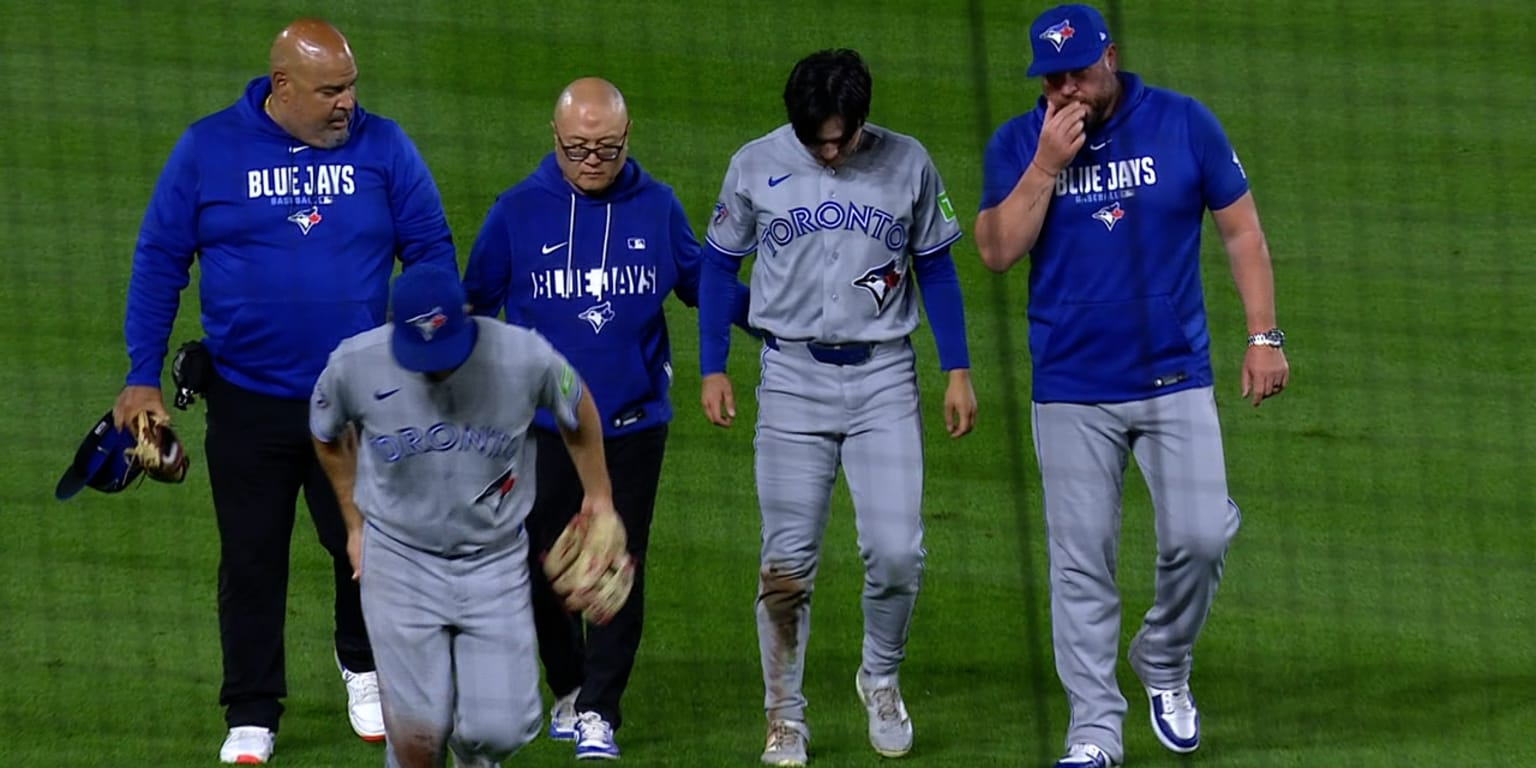 Photo: mlb.com Blue Jays' Brett Bateman Injured After Sliding Catch
