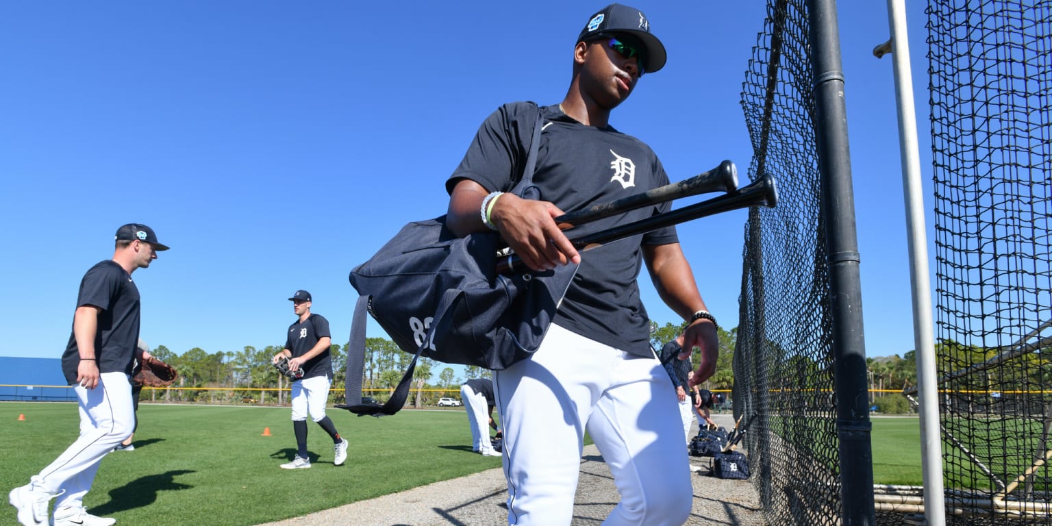 New technique has been a defensive boon for Detroit Tigers' catchers