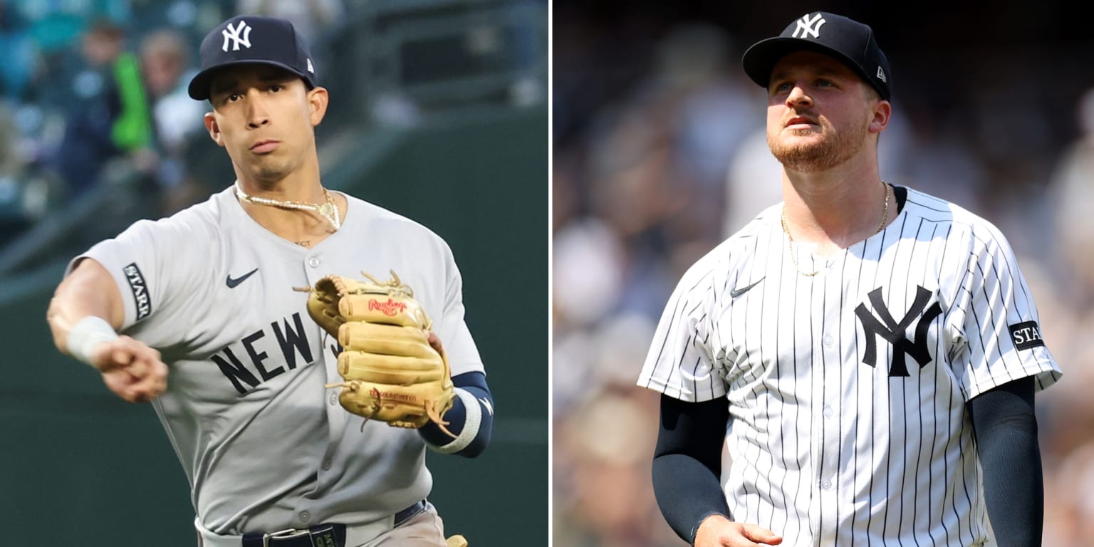 Yankees sign Cabrera, Schmidt; non-tender Leiter