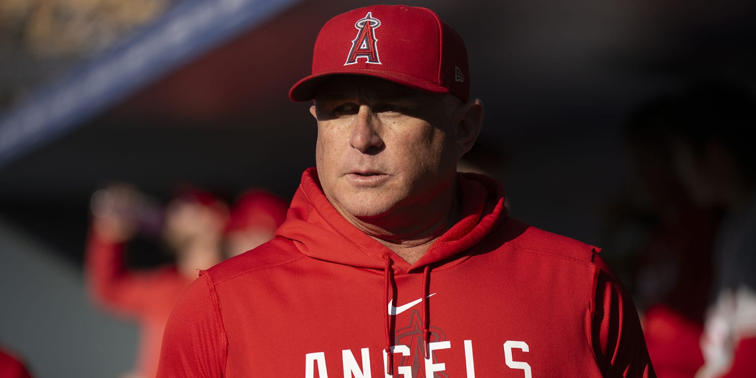 Angels Injury News: The Latest Updates on Trout, Ohtani, Rendon, Neto,  O'Hoppe, Moore and More - Los Angeles Angels