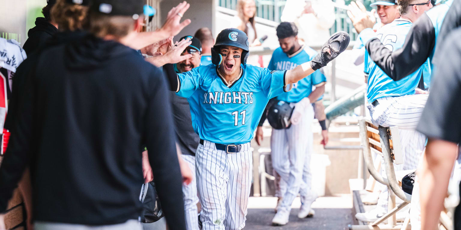 If baseball is this Sox prospect's 'hobby,' what's his job?