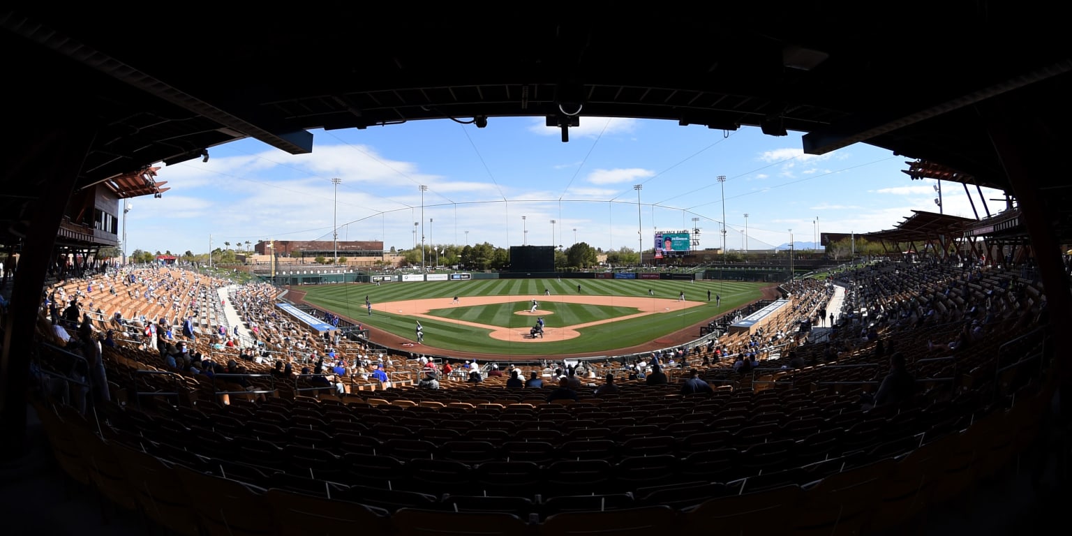 How to Watch and Listen to 2023 White Sox Spring Training Games - On Tap  Sports Net