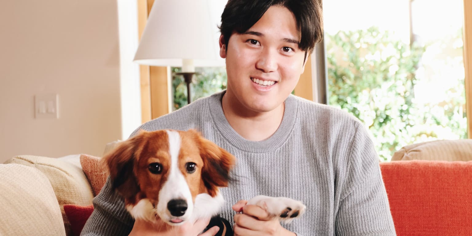 Shohei Ohtani's Dog Debuts During MVP Announcement