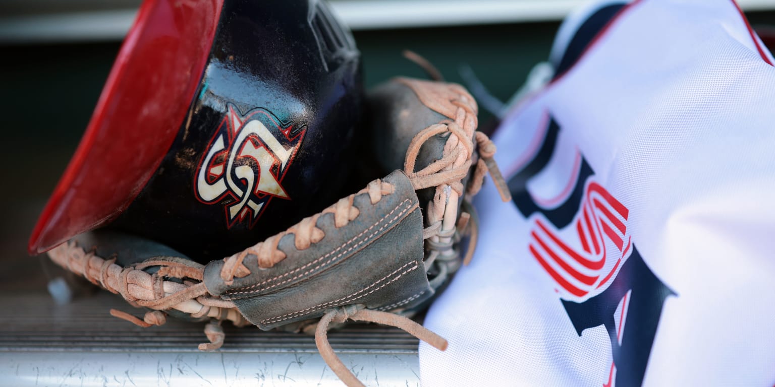 USA Baseball announce 2026 Women's National Team coaching staff