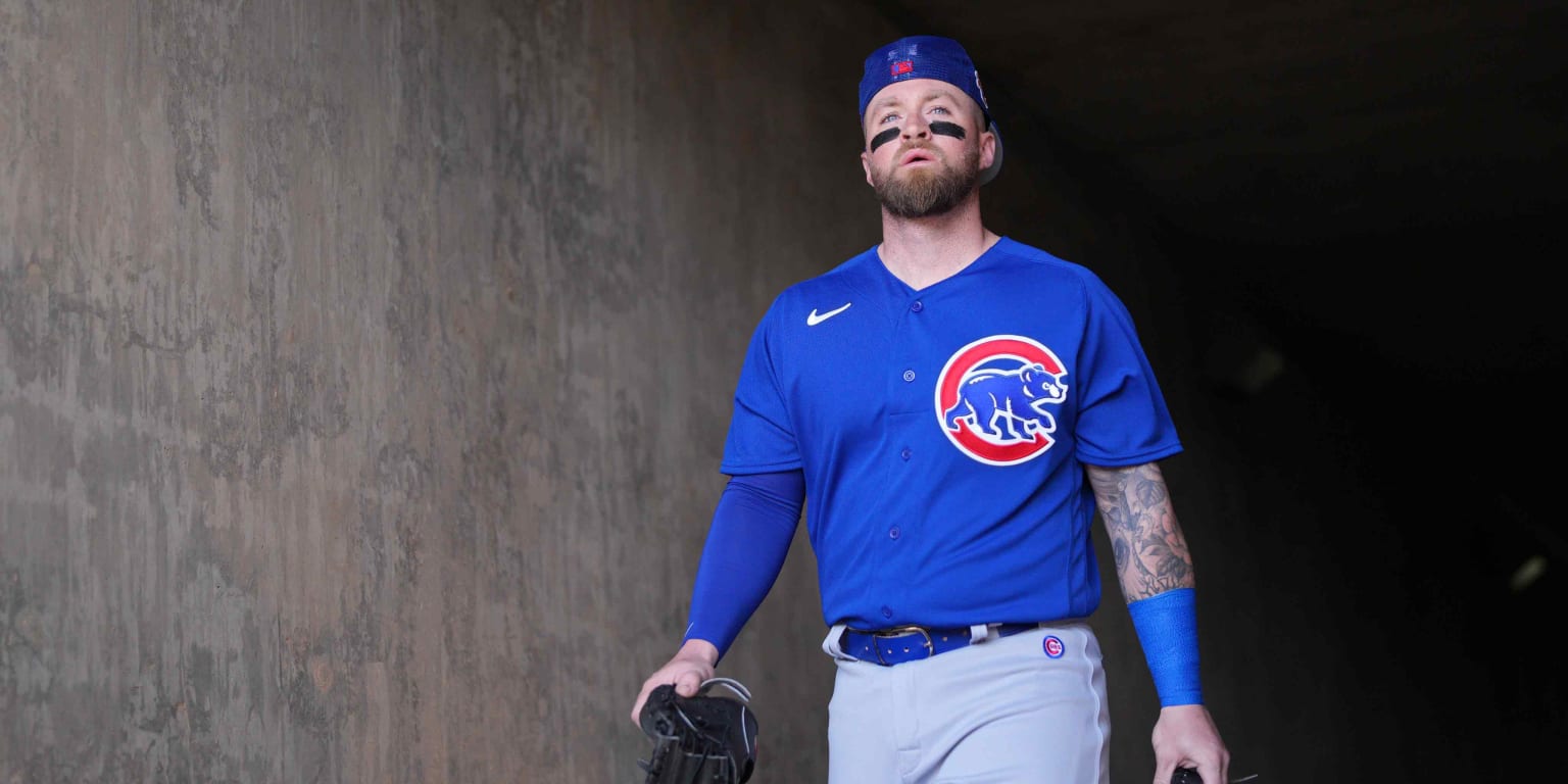 Tucker Barnhart Talks Moving Back to Lefty-Only Hitting, Psychology of  Catching - Cubs Insider