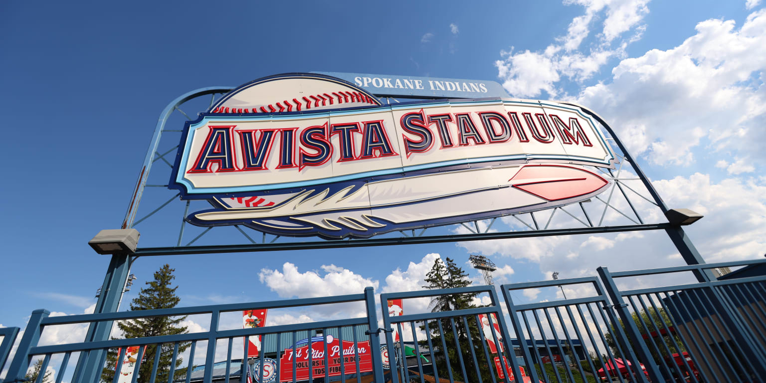 This Minor League park is one of the best places to see a game -- anywhere