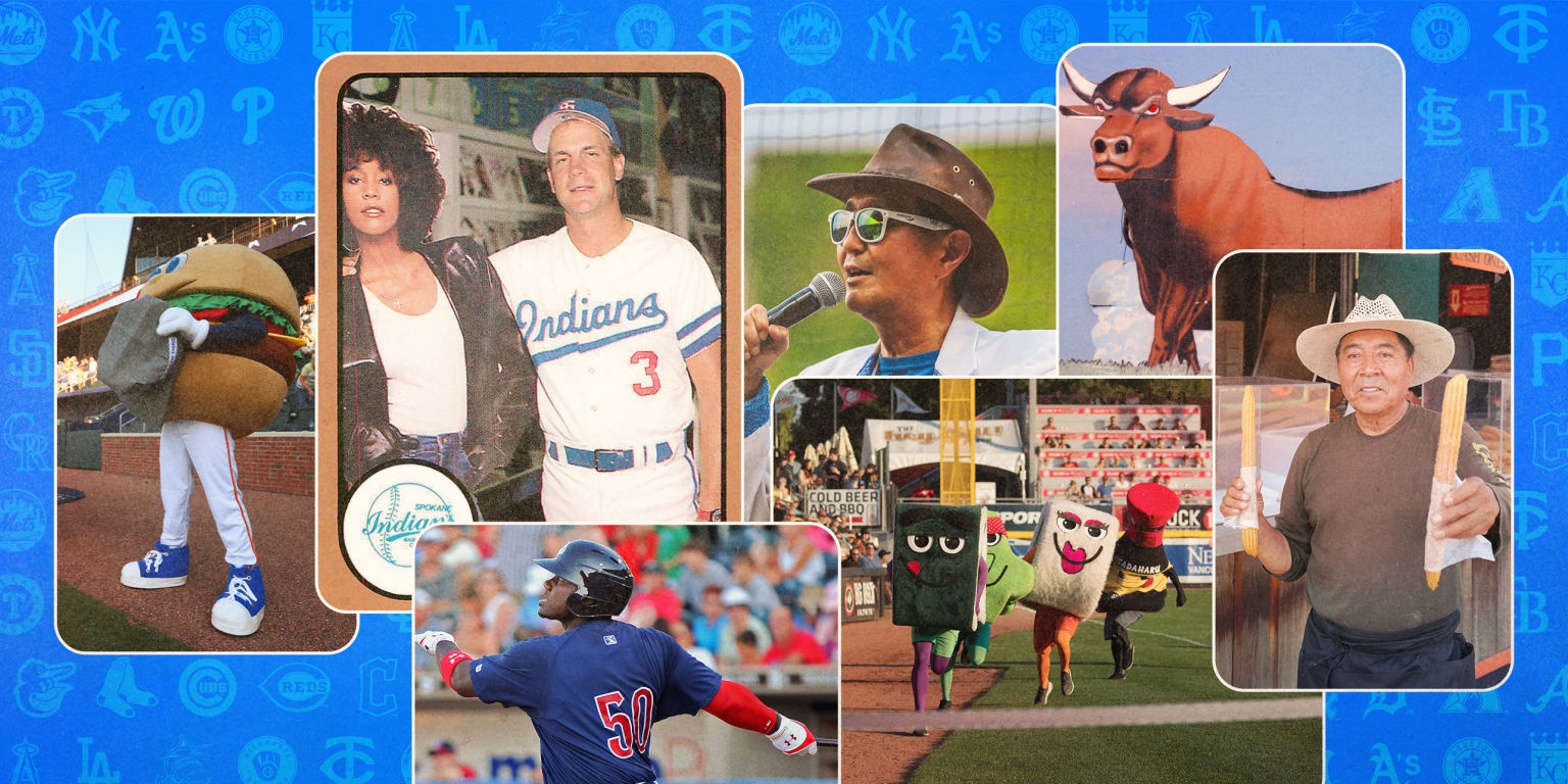 Here's a fun fact for one Minor League team in every farm system