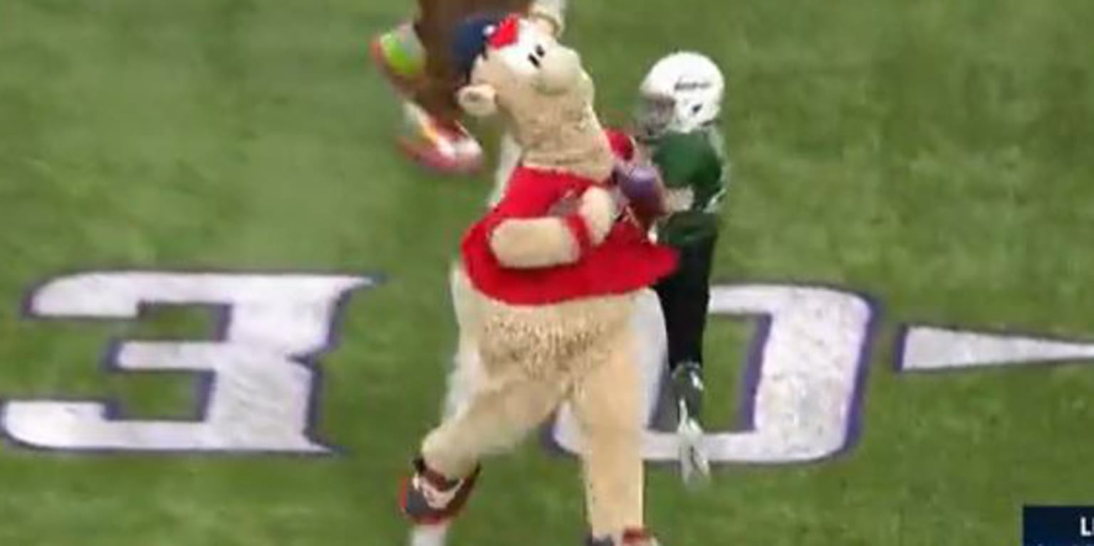Braves mascot gets HOF attention with gridiron domination