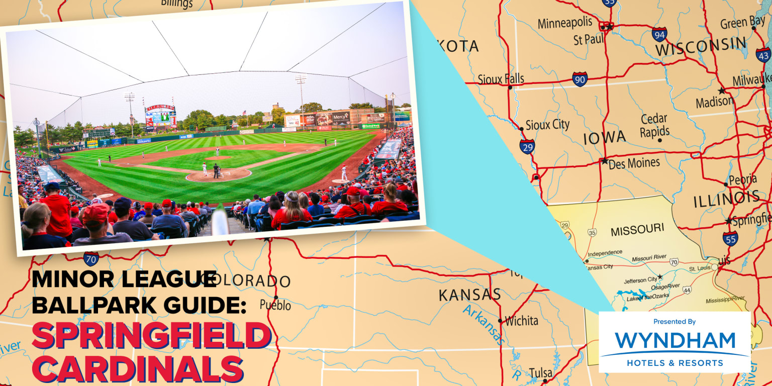St. Louis Cardinals: Fredbird 2021 Mascot - Officially Licensed MLB Re