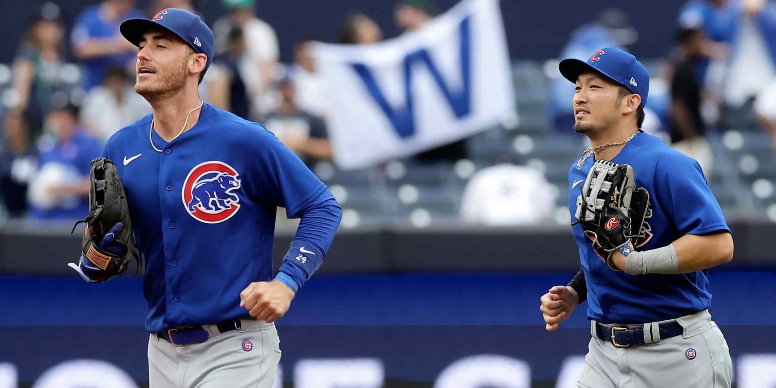 Yan Gomes' single breaks an 8th-inning tie as the wild card-contending Cubs  beat the Tigers 6-4