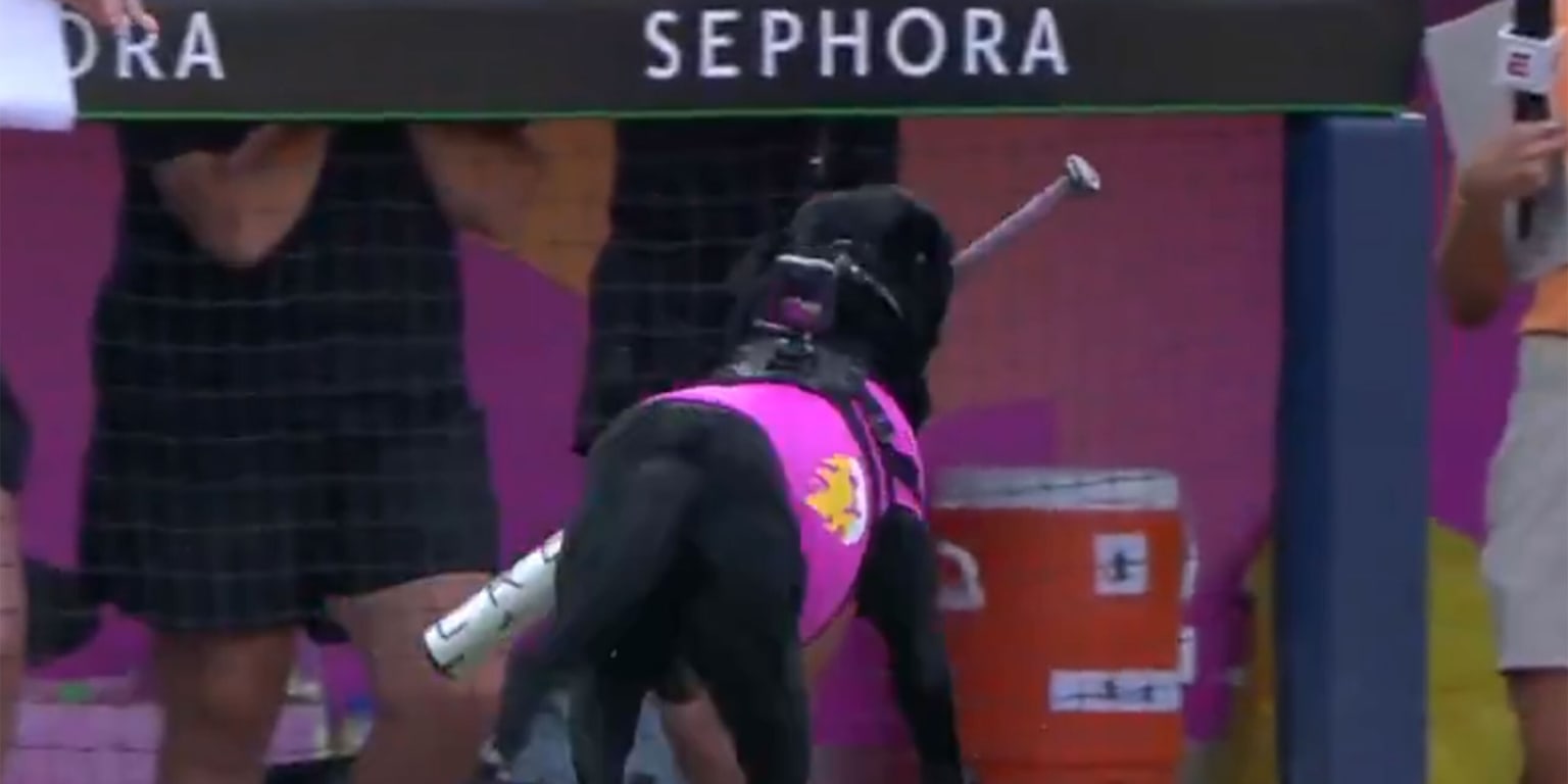 3-sport star canine and extra-innings thriller kick off epic Signature Series for AUSL