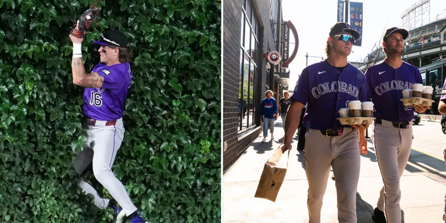 Carrigg crashes into ivy, then runs for coffee 