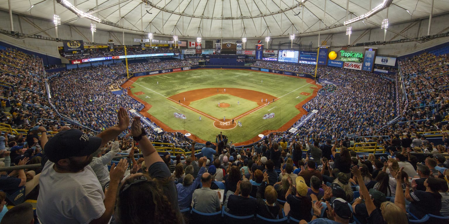 Rays announce Rep the Rays postseason fan events