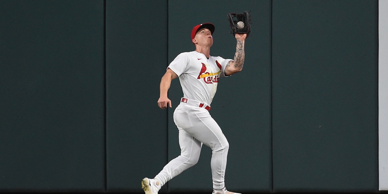 MLB Spring Training Reset: St. Louis Cardinals National News