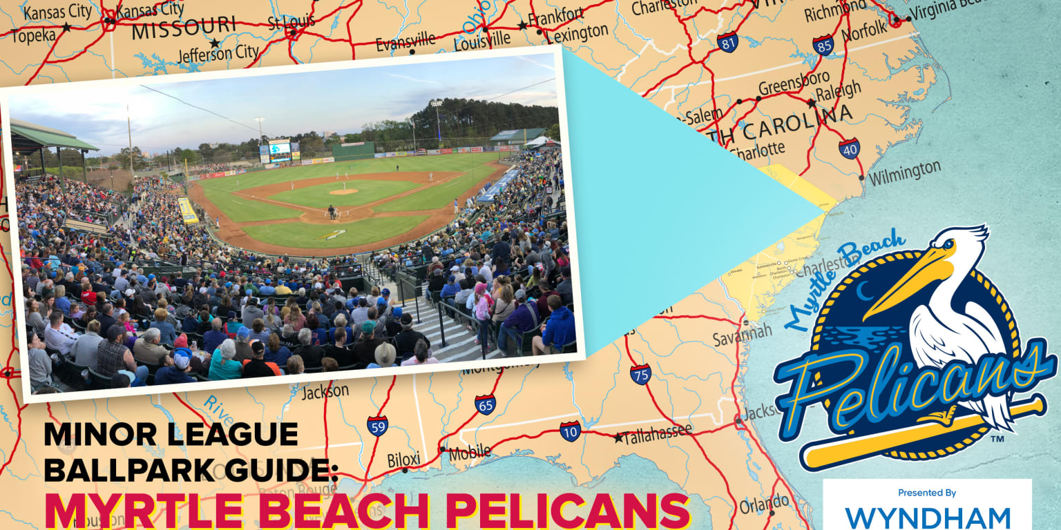 Myrtle Beach Pelicans look to return to Carolina League title