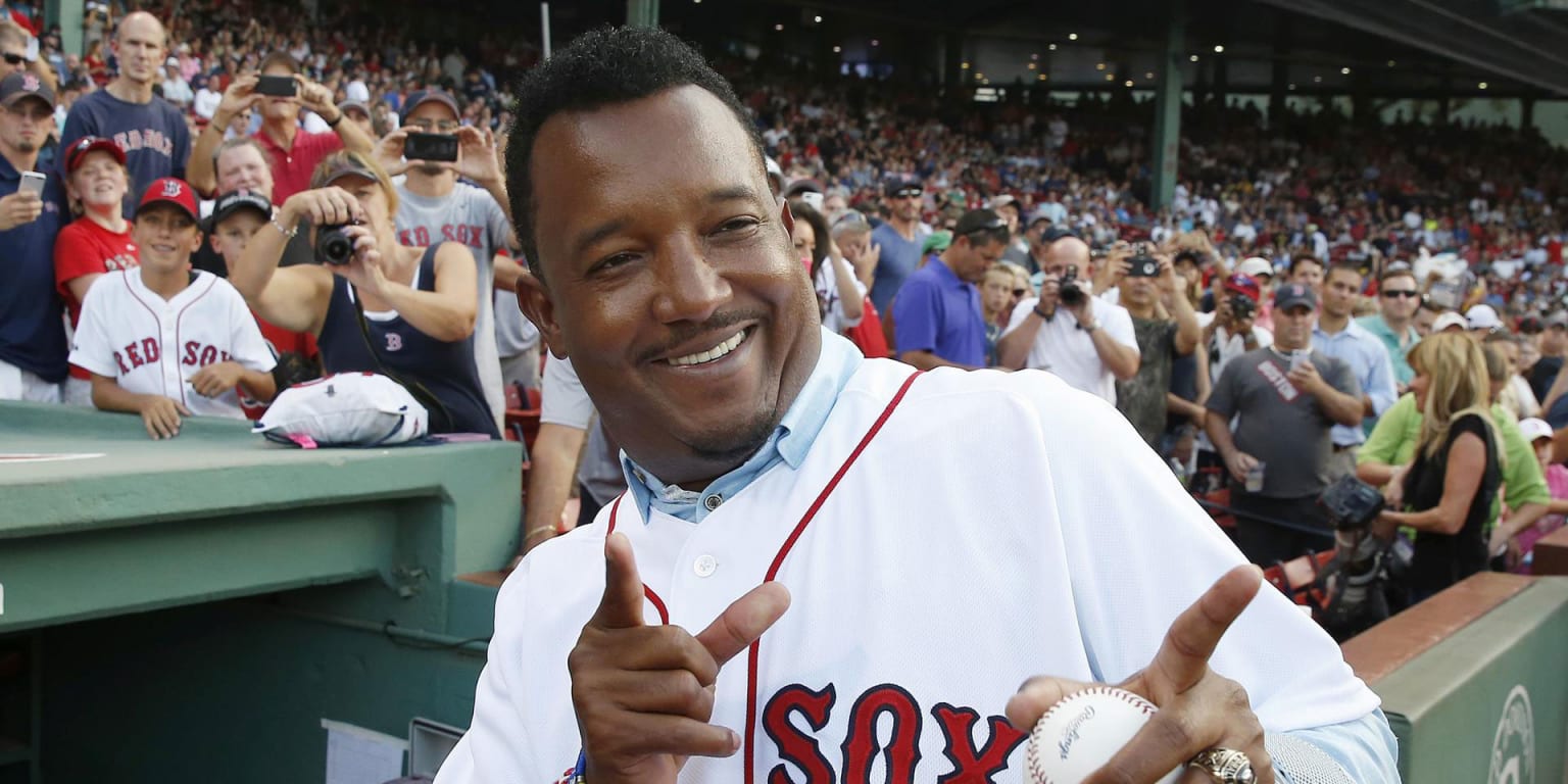 Pedro Martinez Boston Red Sox MLB Jerseys for sale