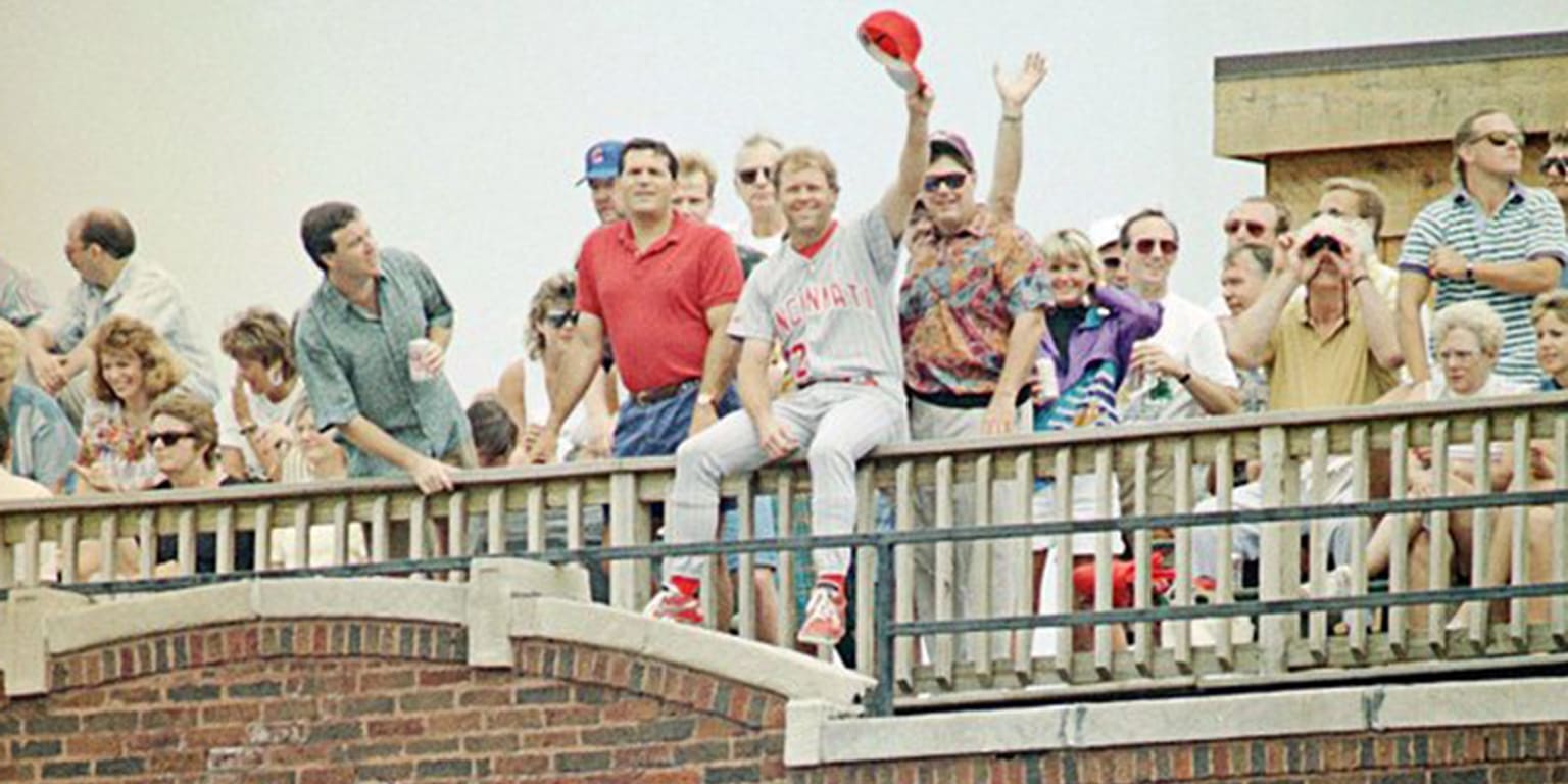 Inside Wrigley Field, bruxhina