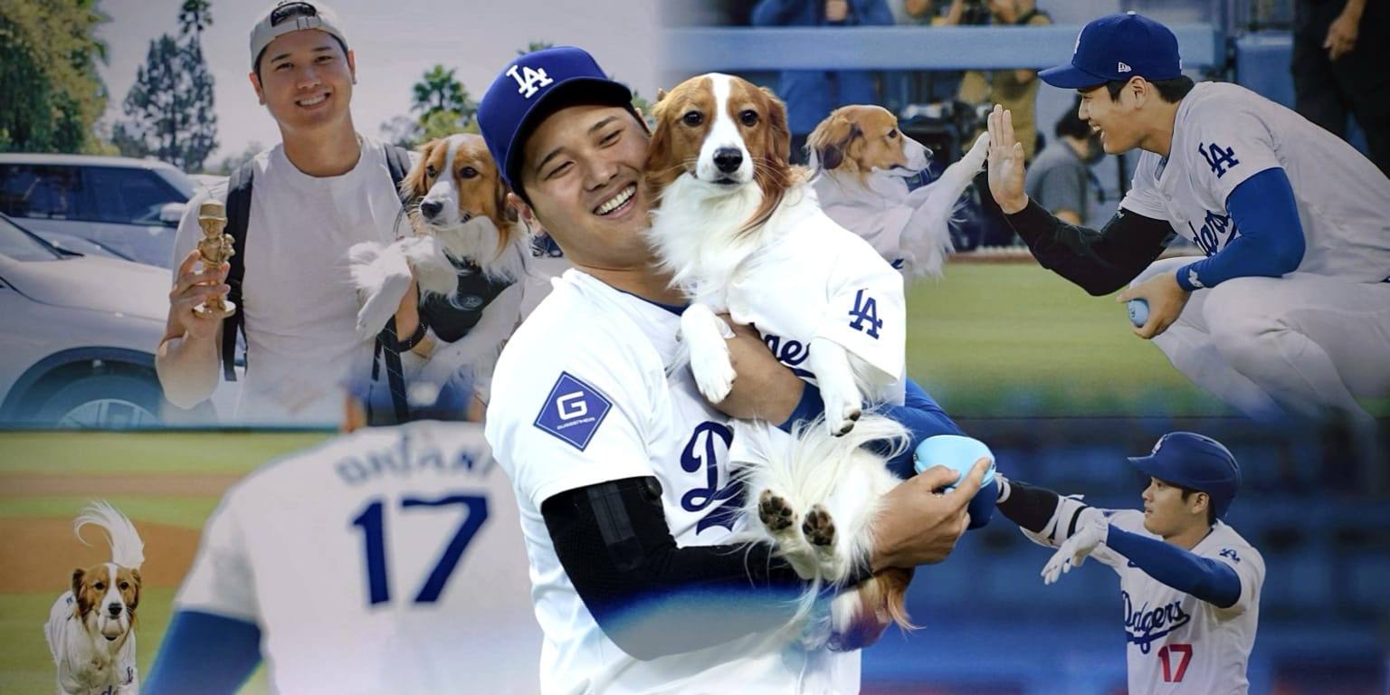 Shohei Ohtani brings dog Decoy to bobblehead night