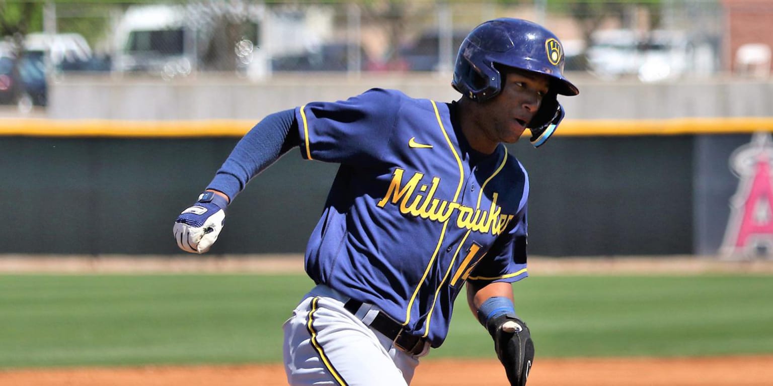 Brewers prospect wants to spread baseball in his native Honduras